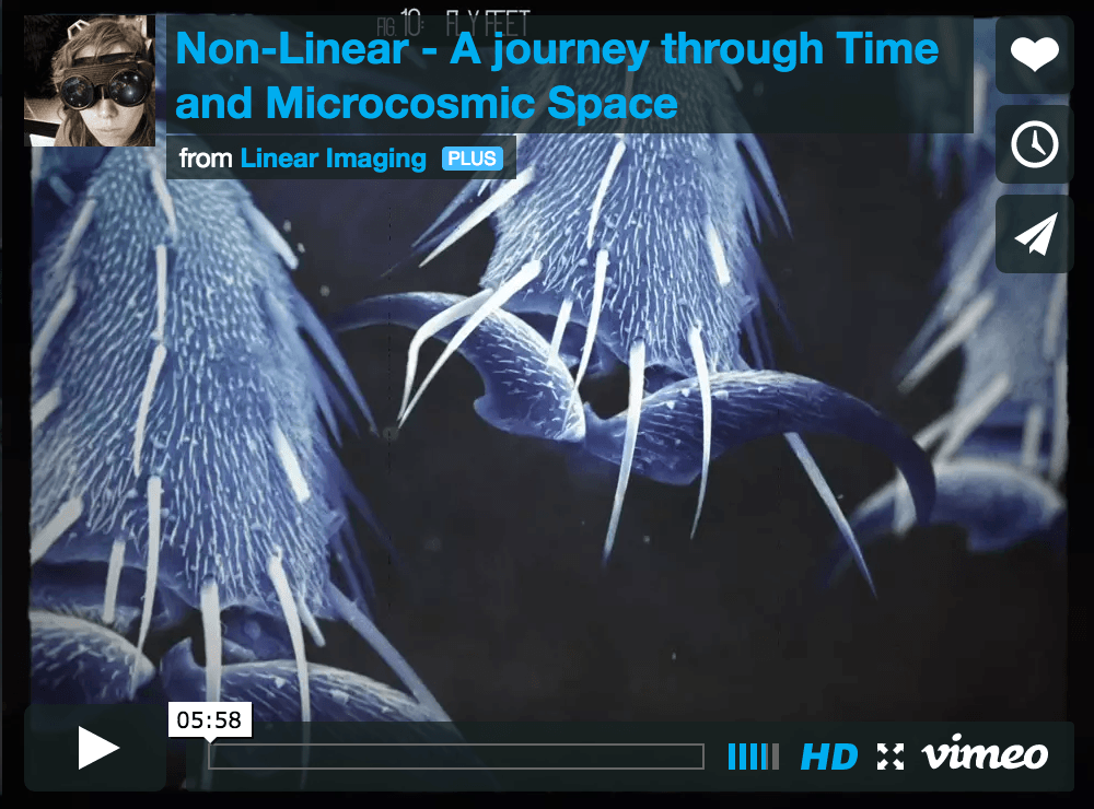 The Non Linear Video Project